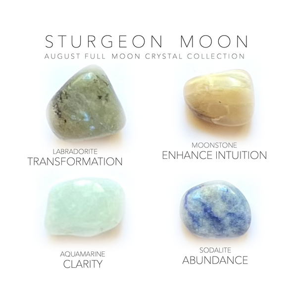 月長石・MOON STONE COMPLETE BOX Amazon.co.jp: 月長石MOON STONE COMPLETE BOX : 文房具