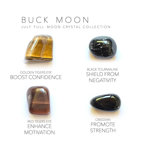 July_Moon_4_600x.png?v=1736114680