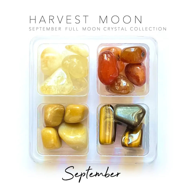 美品　クッション　Rokon’s Crystal Season Scorpio Zodiac Crystal Set - Rocks with Sass