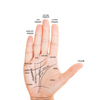 The Ultimate Guide to Palmistry: Understanding Palm Reading + Crystal Enhancements