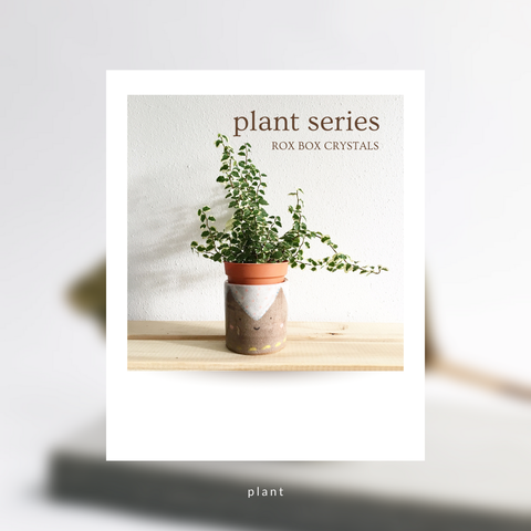 ROX BOX | Plant Collection