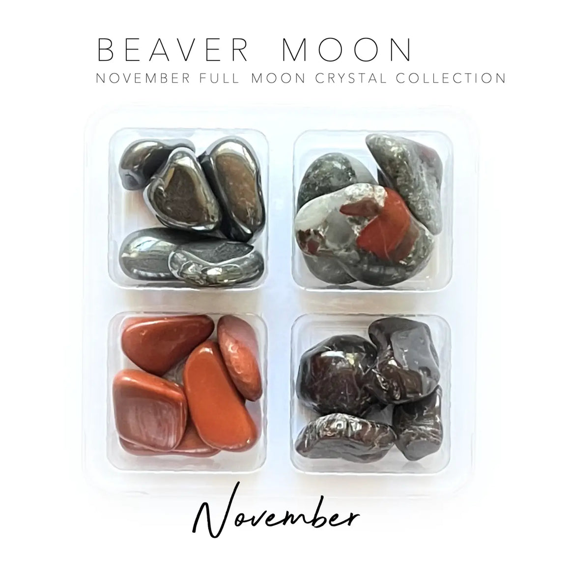 NOVEMBER FULL MOON - BEAVER MOON Rox Box - crystal set