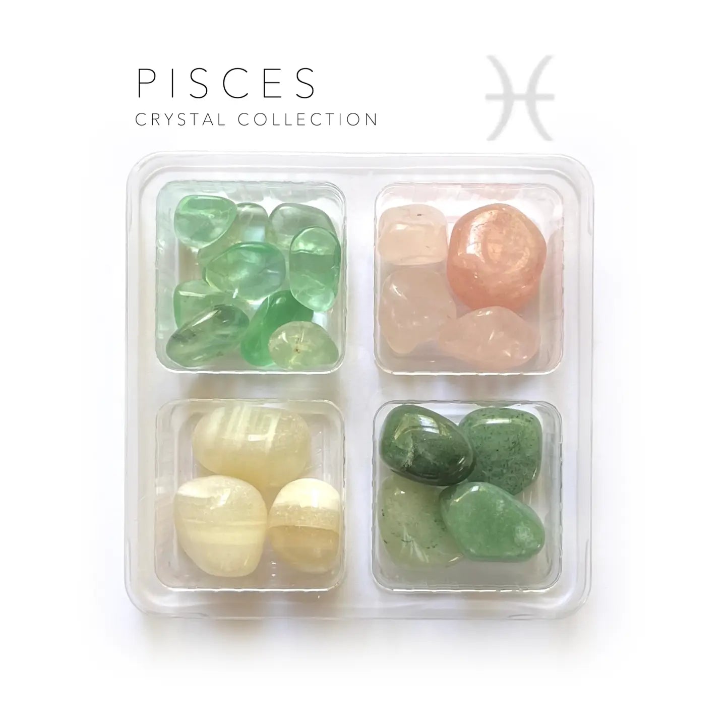 Pisces Zodiac Rox Box - Feb - March 19 -  jumbo- crystal set and stones