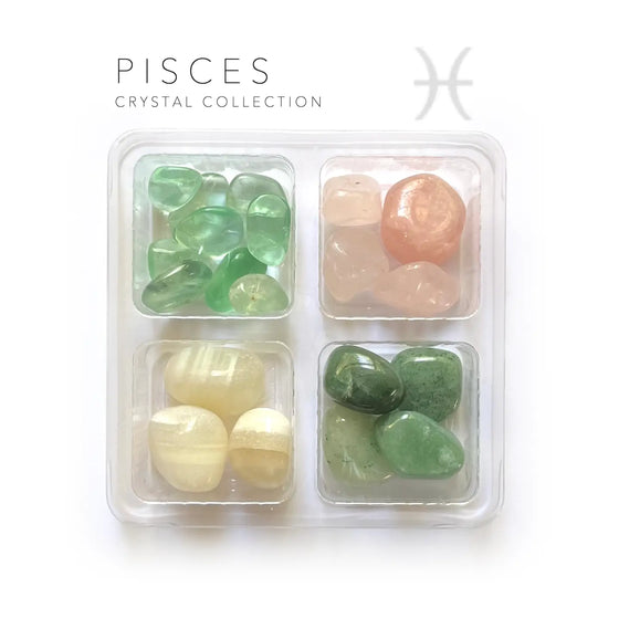 Pisces Zodiac Rox Box - Feb - March 19 -  jumbo- crystal set and stones