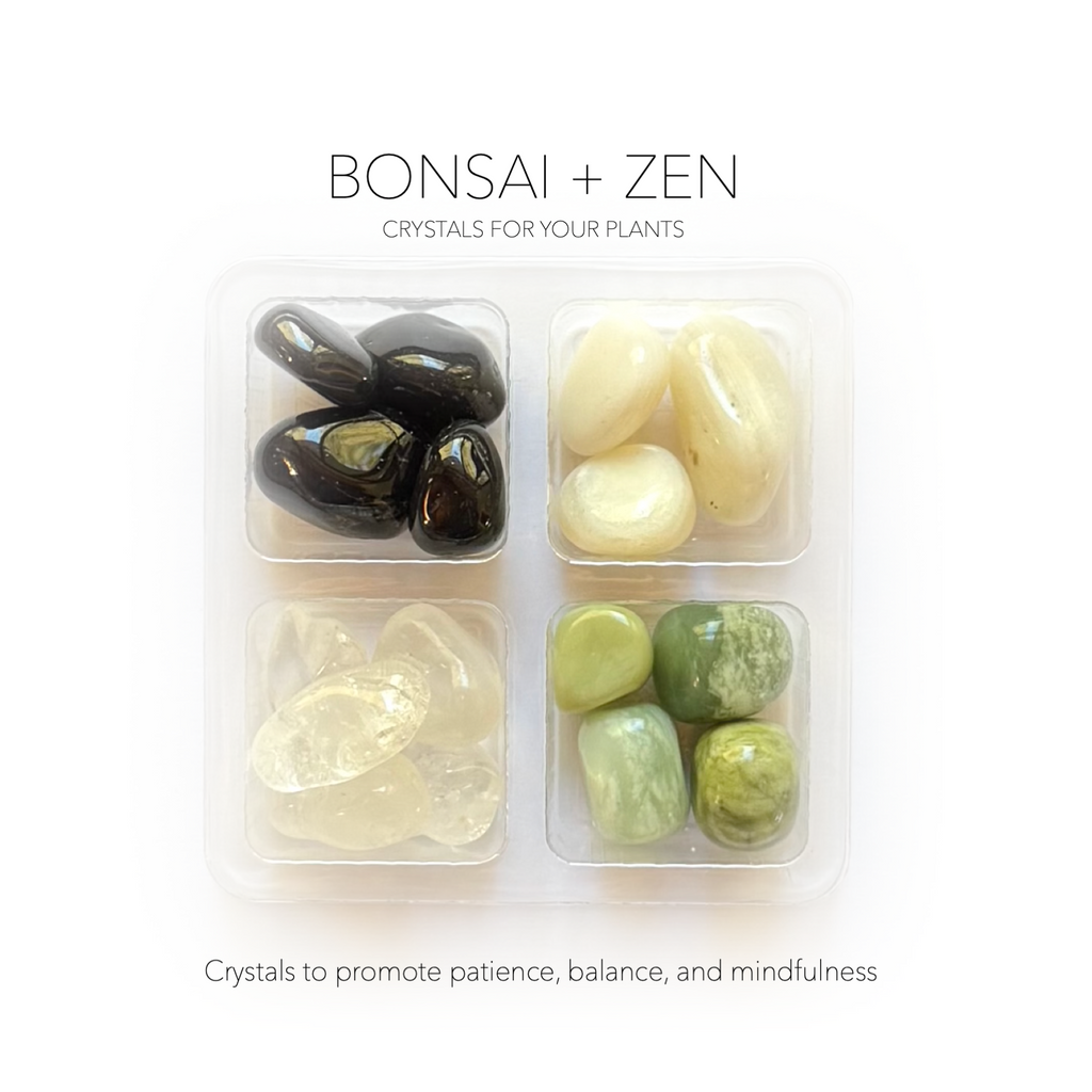 BONSAI + ZEN GARDEN SET - Crystals for Plants Rox Box