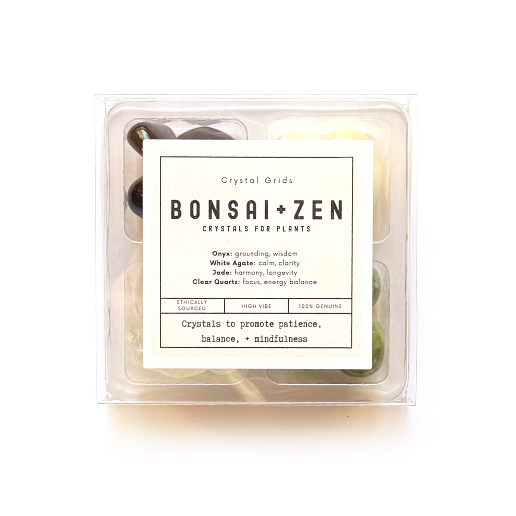 BONSAI + ZEN GARDEN SET - Crystals for Plants Rox Box