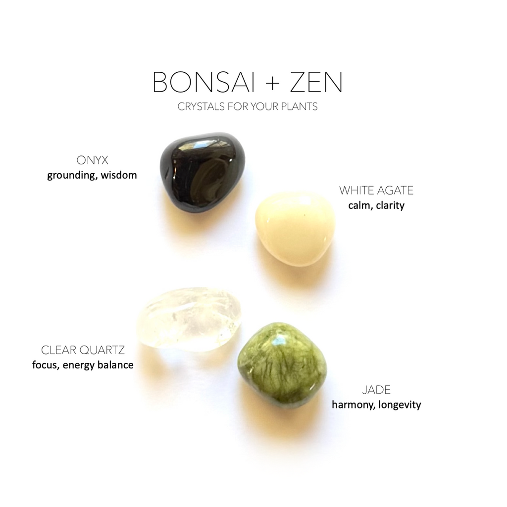 BONSAI + ZEN GARDEN SET - Crystals for Plants Rox Box