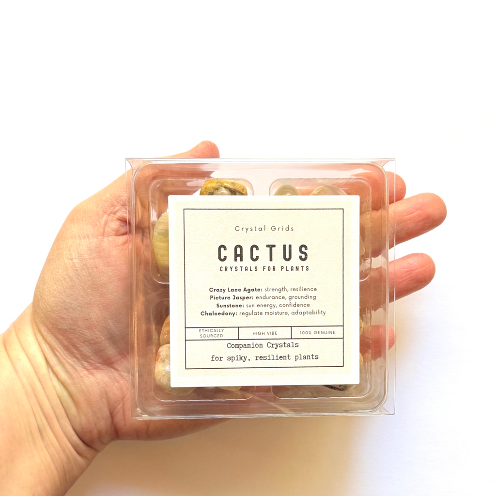 CACTUS COMPANION  - Crystals for Plants Rox Box