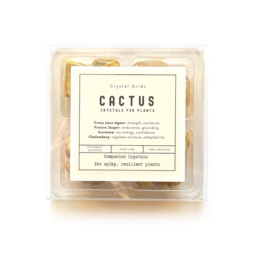 CACTUS COMPANION  - Crystals for Plants Rox Box