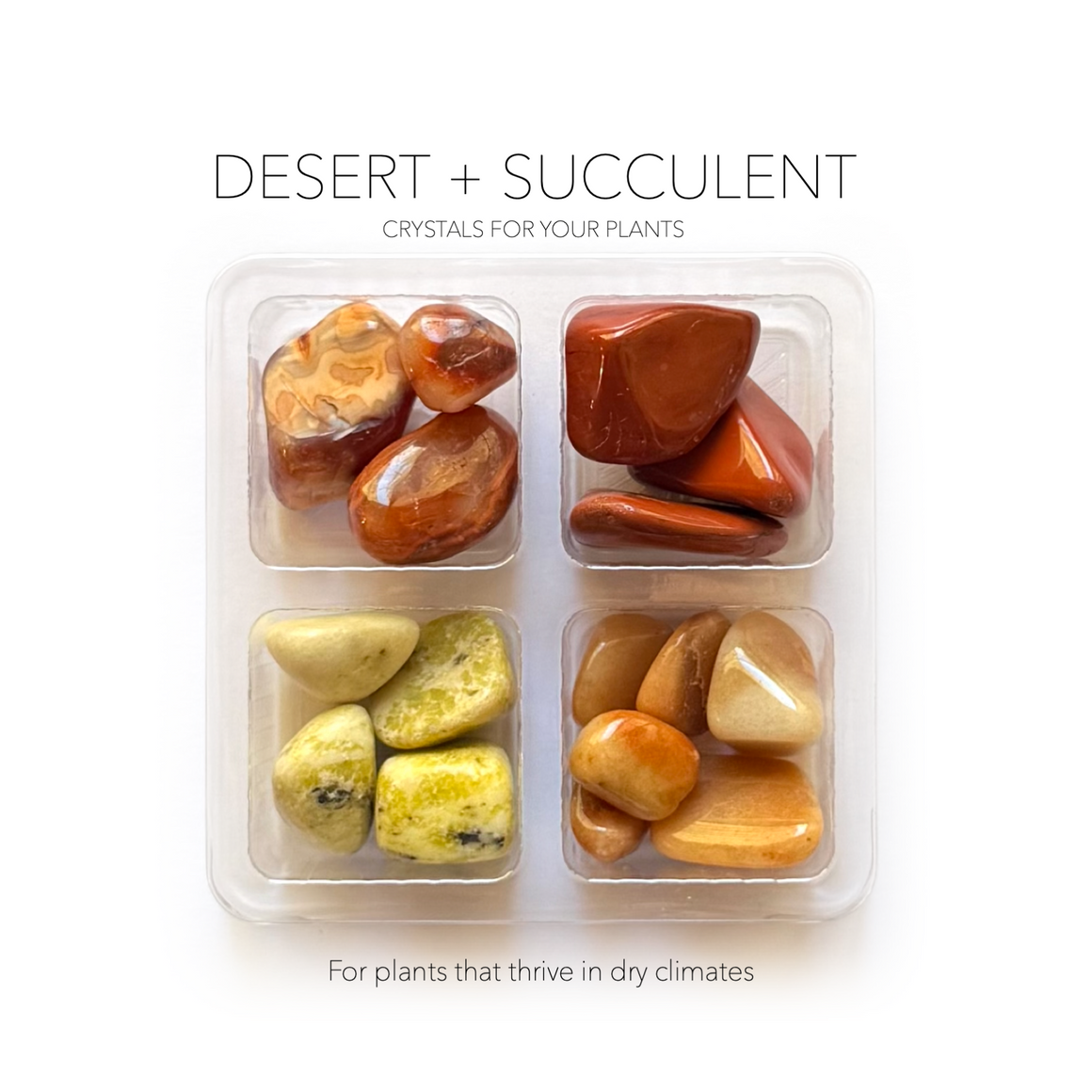 DESERT + SUCCULENT ENERGY SET - Crystals for Plants Rox Box