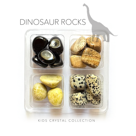 DINOSAUR ROCKS - Kids Crystal Sets - Rox Box - rock collection