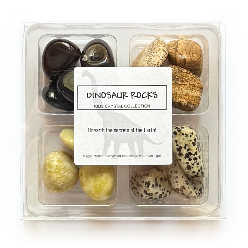 DINOSAUR ROCKS - Kids Crystal Sets - Rox Box - rock collection