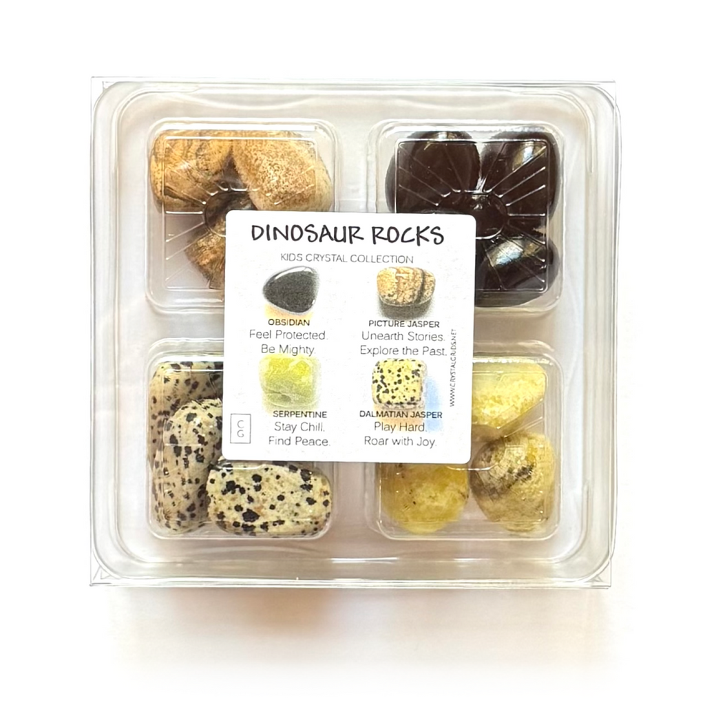 DINOSAUR ROCKS - Kids Crystal Sets - Rox Box - rock collection