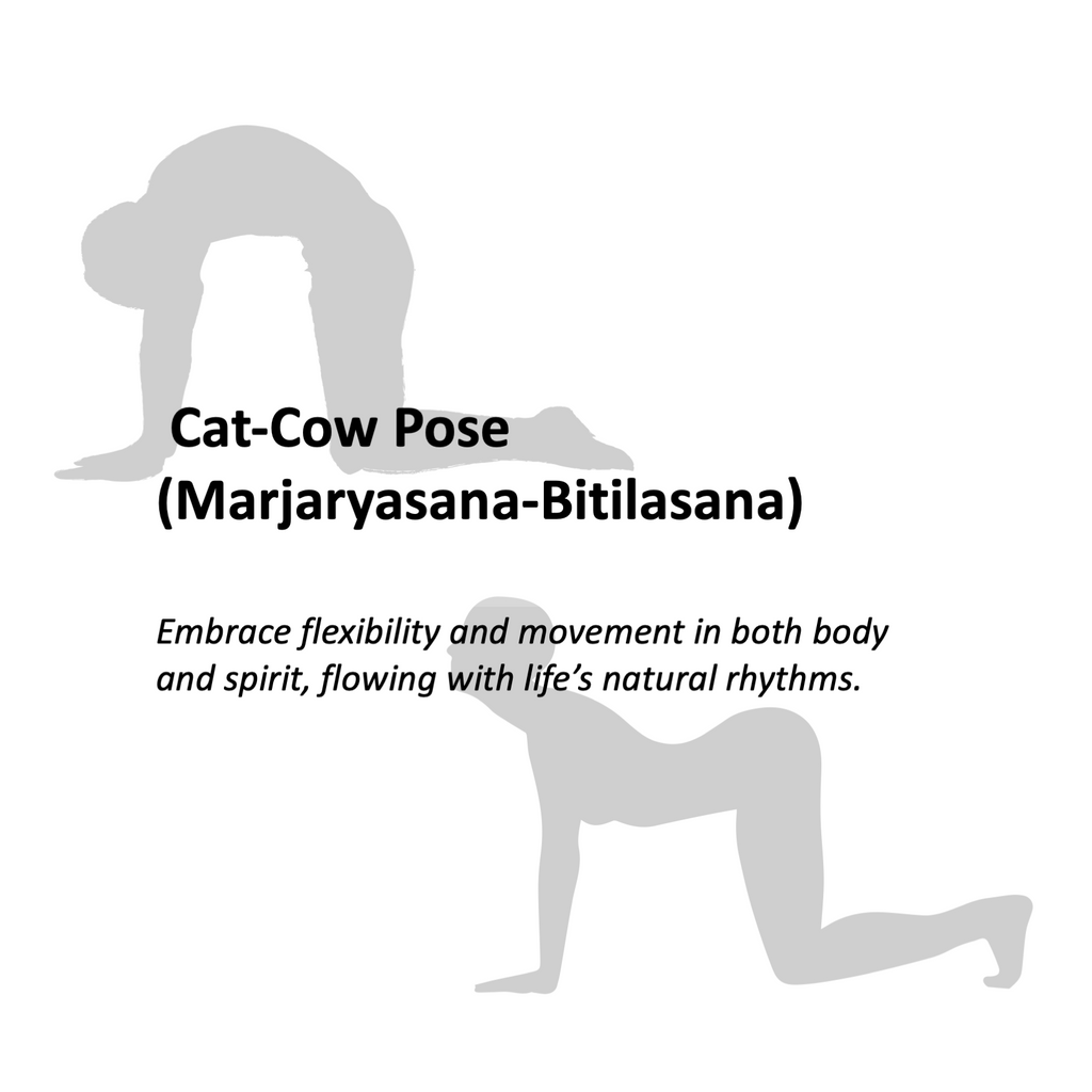 FLOW STATE - Cat-Cow Pose (Marjaryasana-Bitilasana) - Yoga Crystals Rox Box Collection