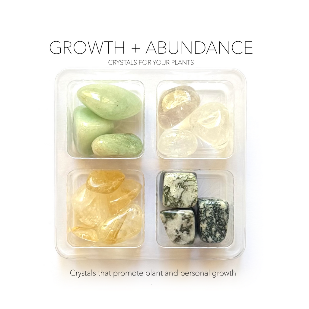 GROWTH + ABUNDANCE - Crystals for Plants Rox Box