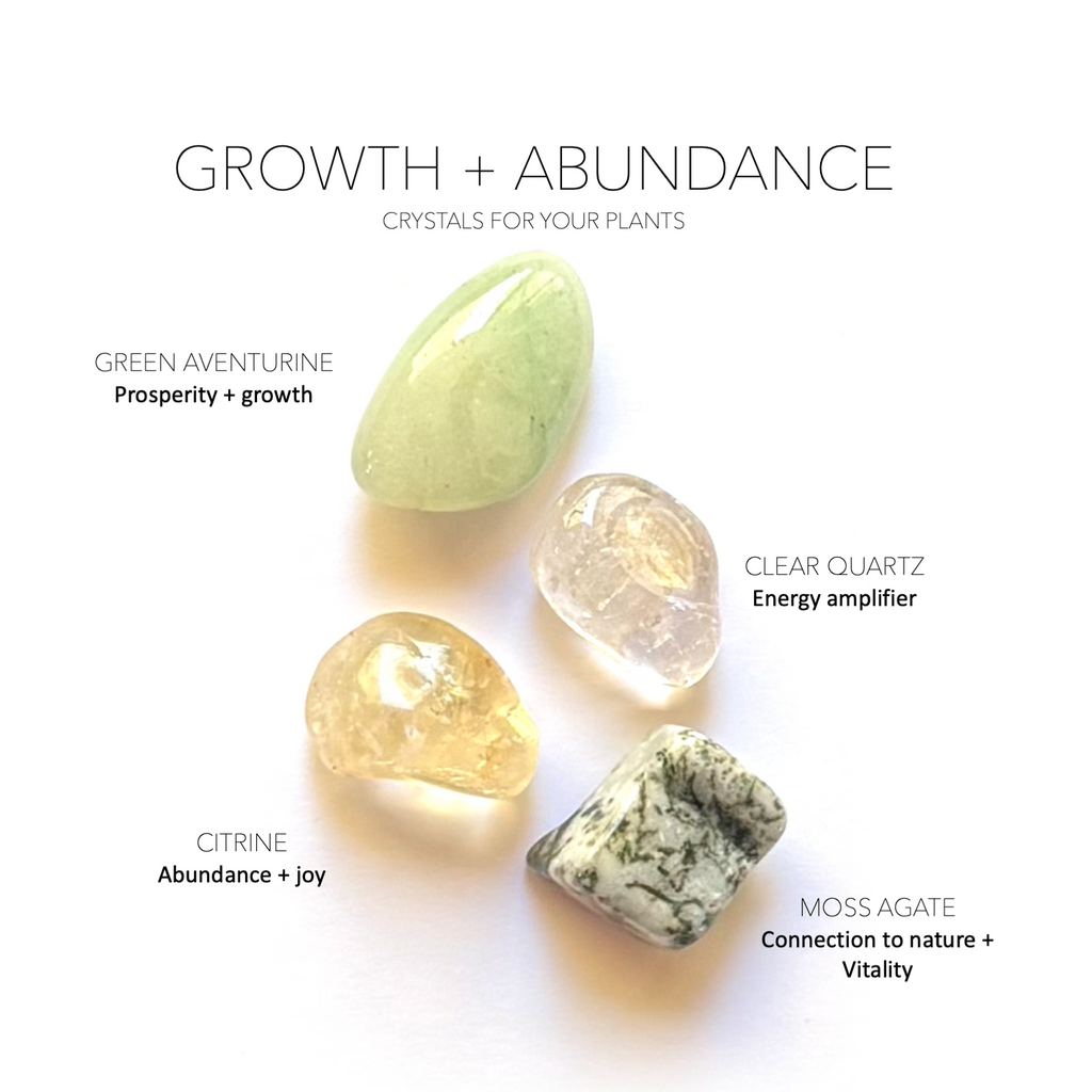 GROWTH + ABUNDANCE - Crystals for Plants Rox Box