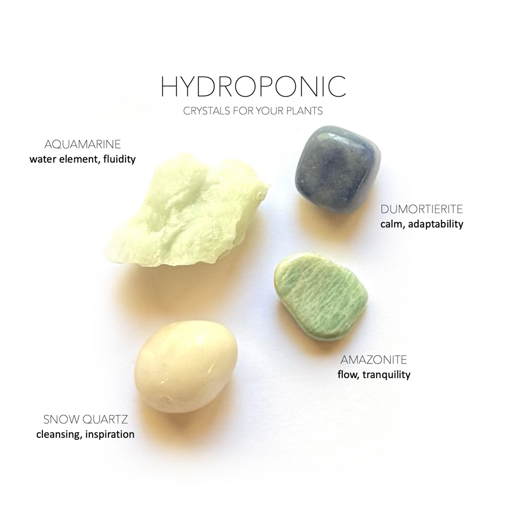 HYDROPONIC PLANT CRYSTAL SET- Crystals for Plants Rox Box