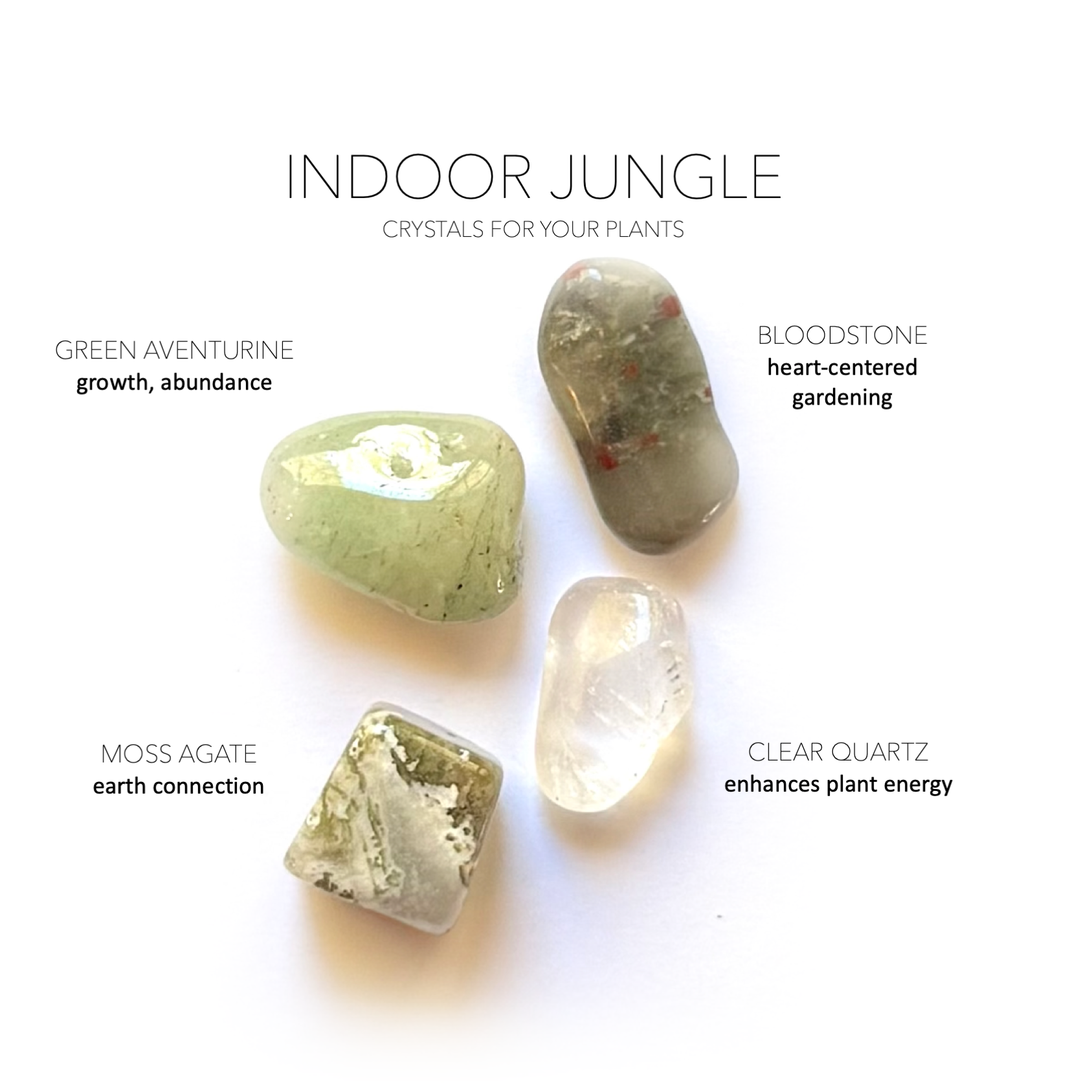 crystals for indoor plants INDOOR JUNGLE VIBES SET - Crystals for Plants Rox Box