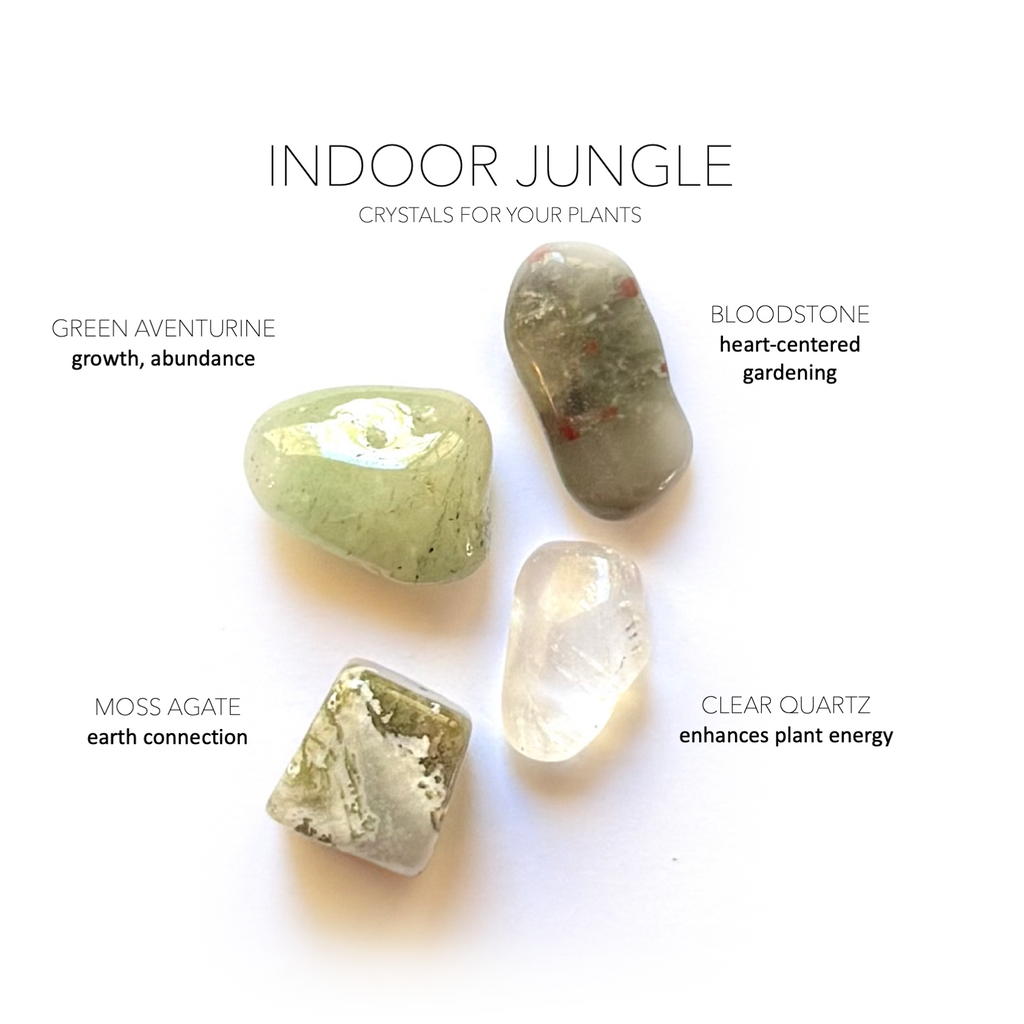 INDOOR JUNGLE VIBES SET - Crystals for Plants Rox Box