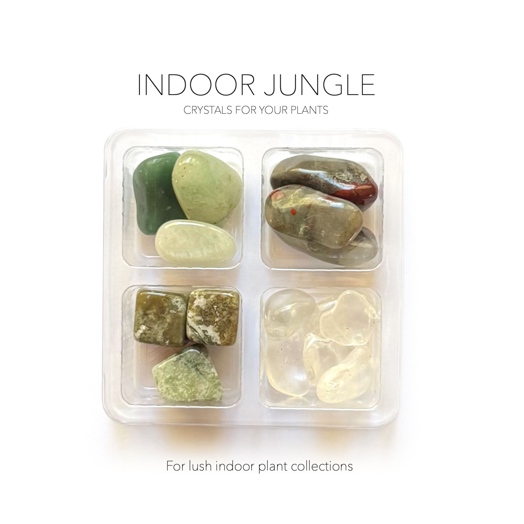 crystals for indoor plants INDOOR JUNGLE VIBES SET - Crystals for Plants Rox Box