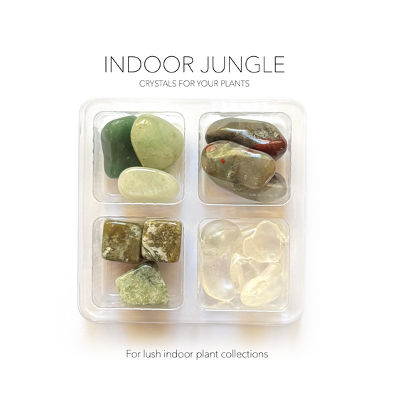 INDOOR JUNGLE VIBES SET - Crystals for Plants Rox Box