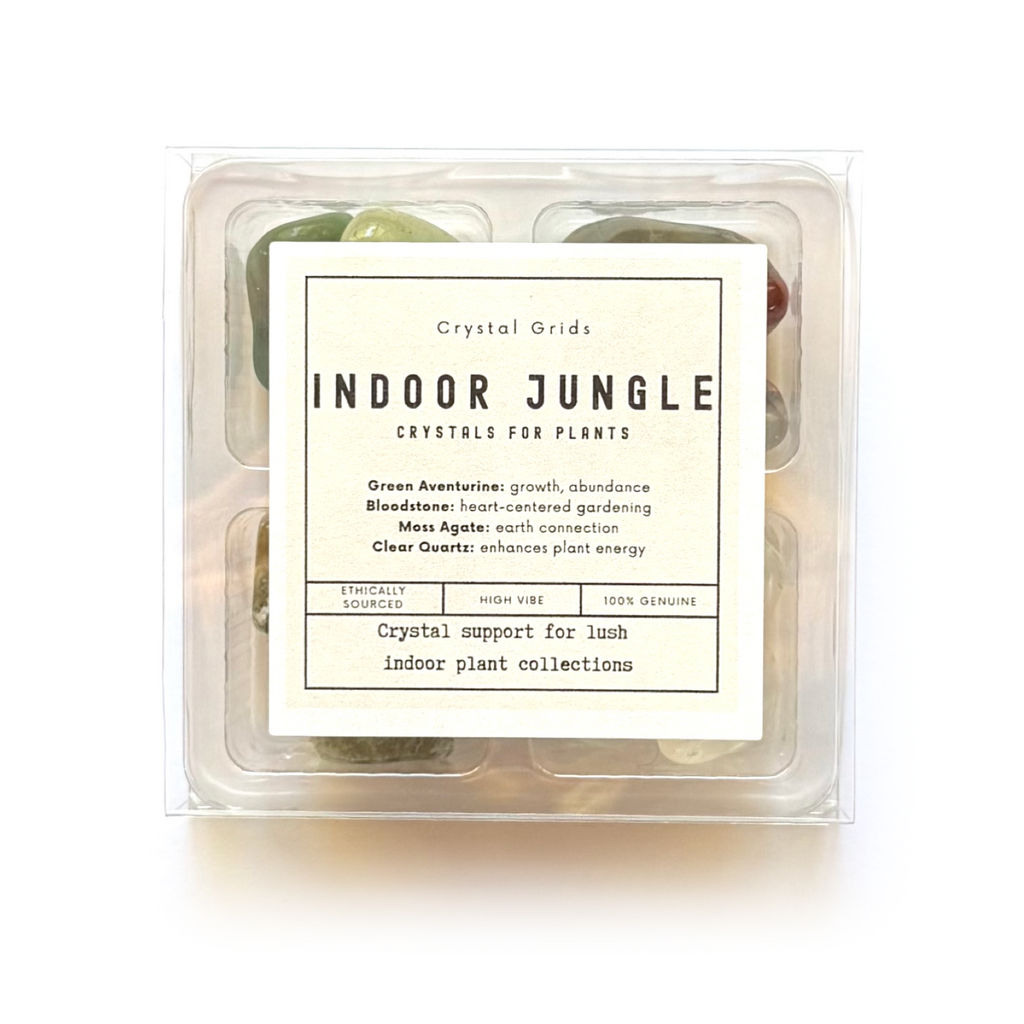 INDOOR JUNGLE VIBES SET - Crystals for Plants Rox Box