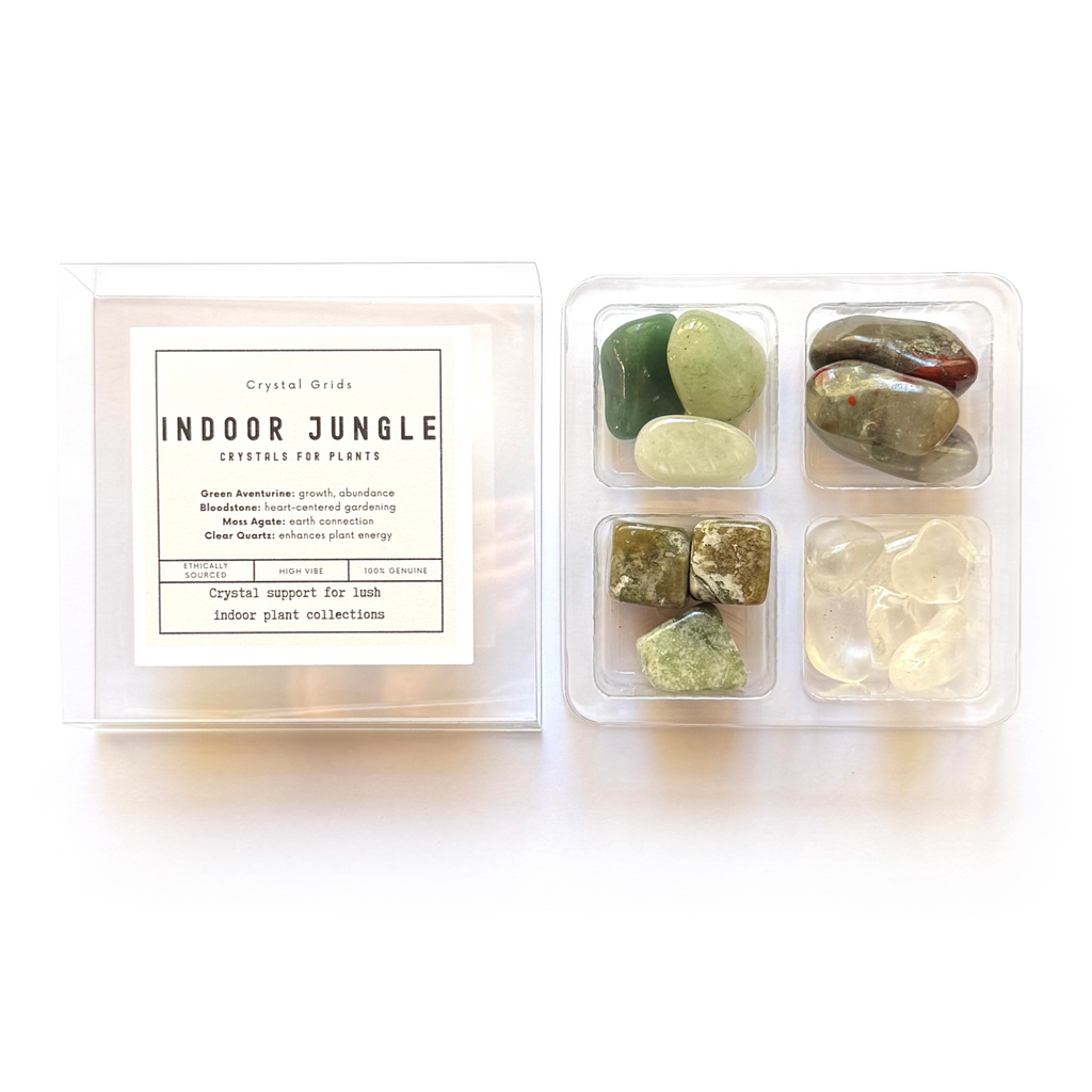 INDOOR JUNGLE VIBES SET - Crystals for Plants Rox Box