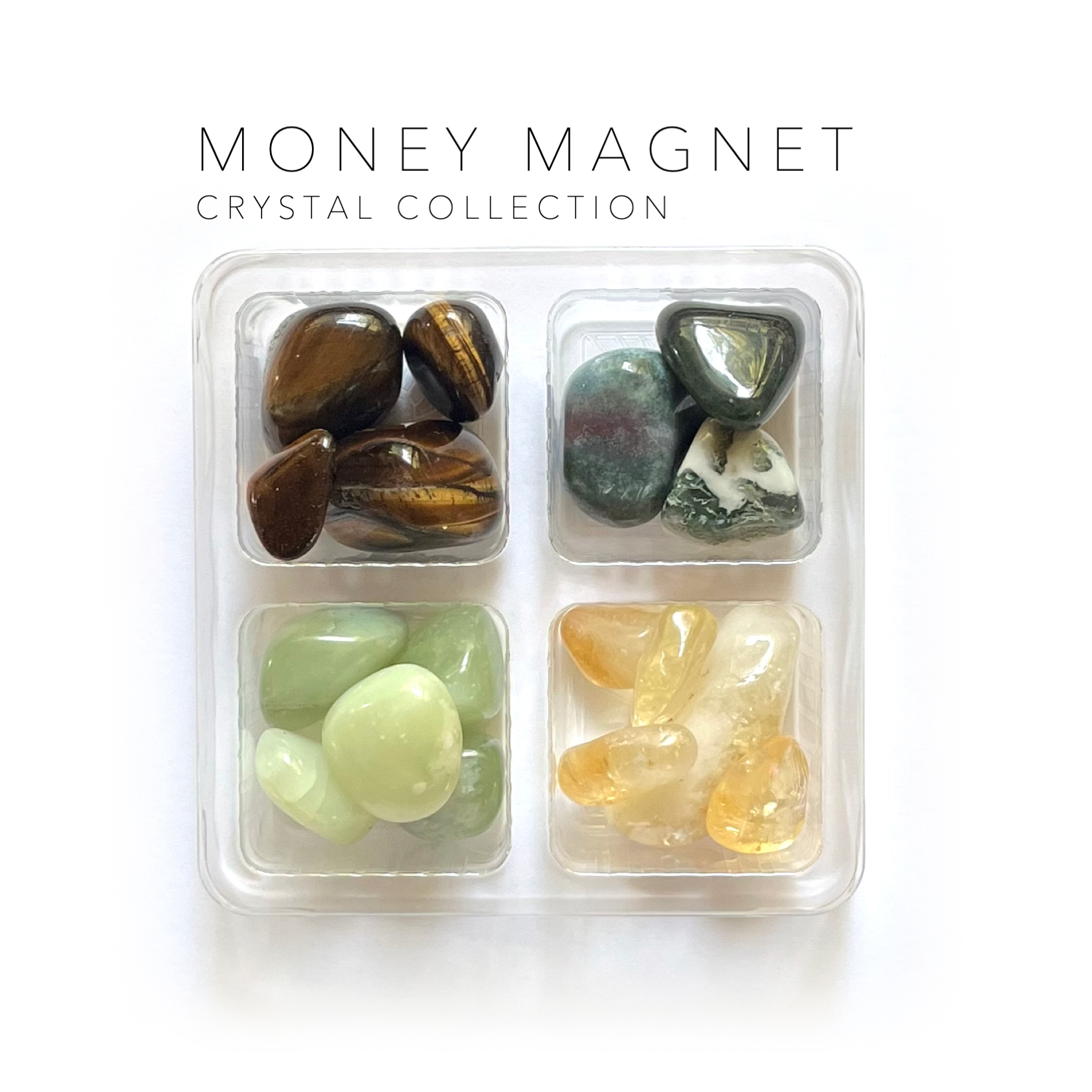 jade plant money magnet MONEY MAGNET --- Rox Box -- crystal gift set