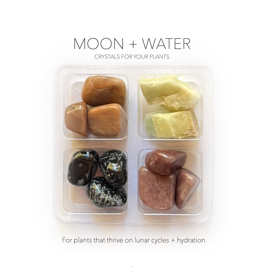 MOON + WATER ELEMENT COLLECTION - Crystals for Plants Rox Box