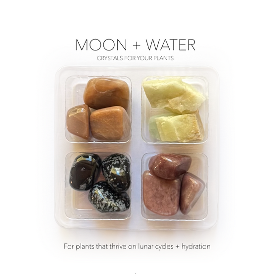 MOON + WATER ELEMENT COLLECTION - Crystals for Plants Rox Box