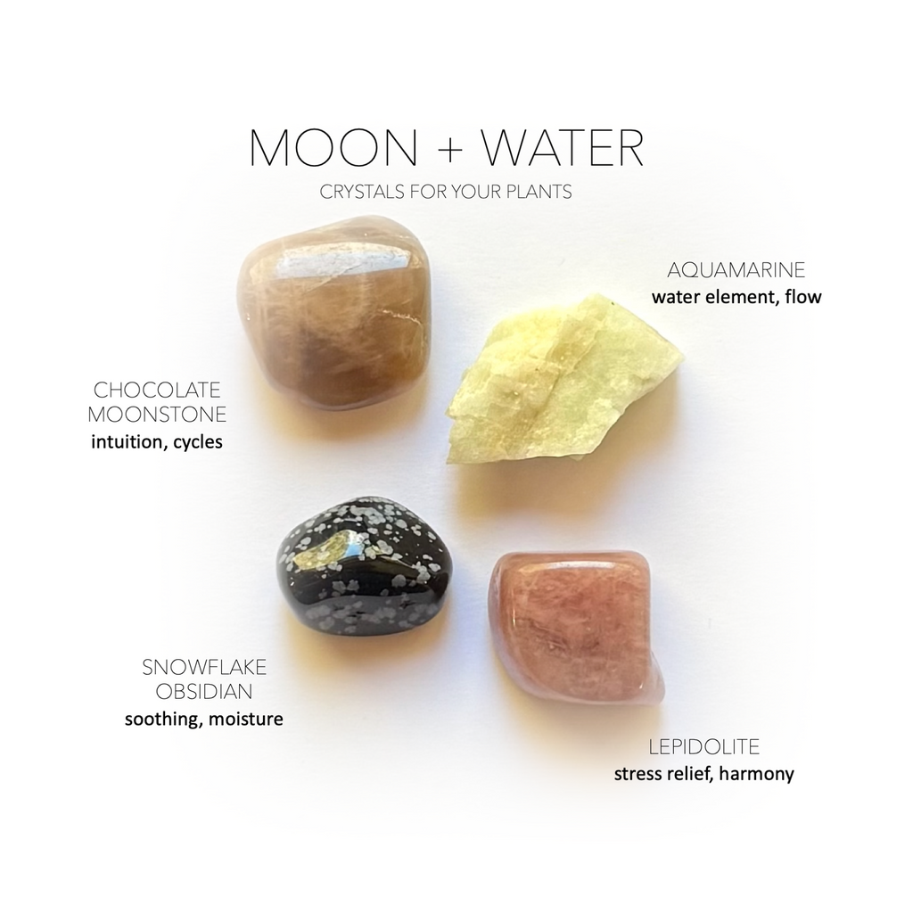 MOON + WATER ELEMENT COLLECTION - Crystals for Plants Rox Box