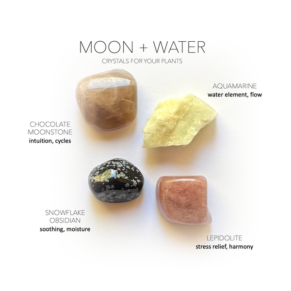 MOON + WATER ELEMENT COLLECTION - Crystals for Plants Rox Box - Crystal ...