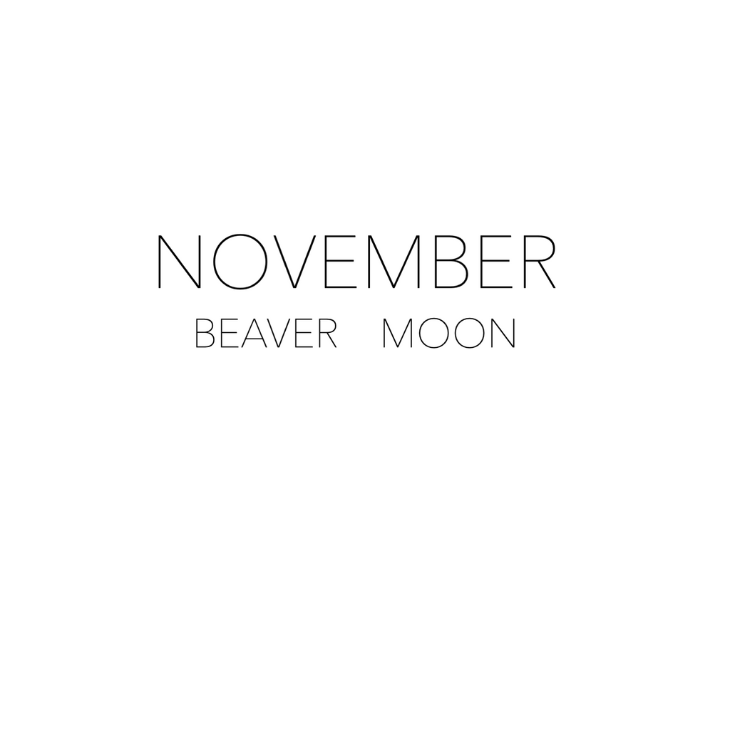 NOVEMBER FULL MOON - BEAVER MOON Rox Box - crystal set