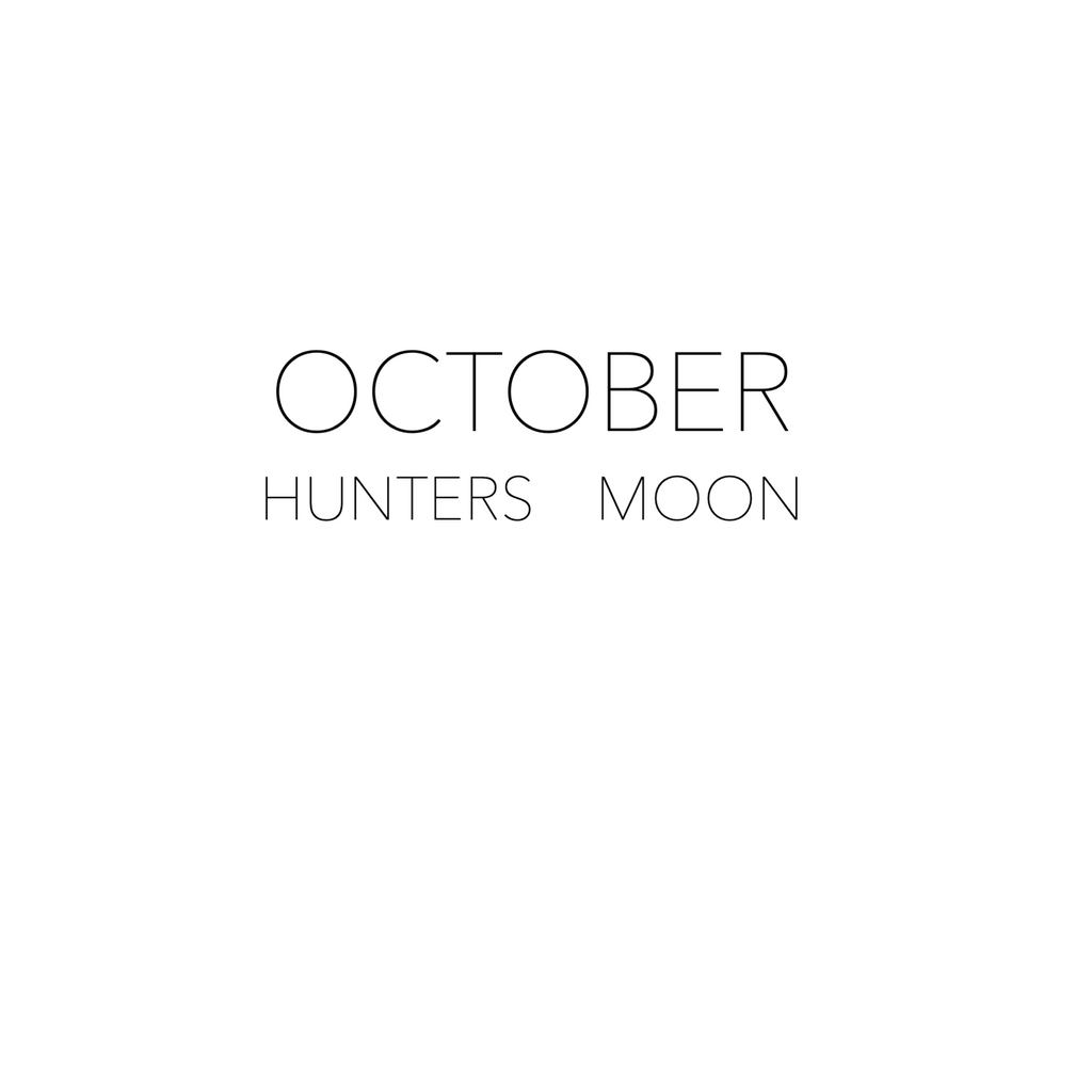 OCTOBER FULL MOON - HUNTER'S MOON Rox Box - crystal set