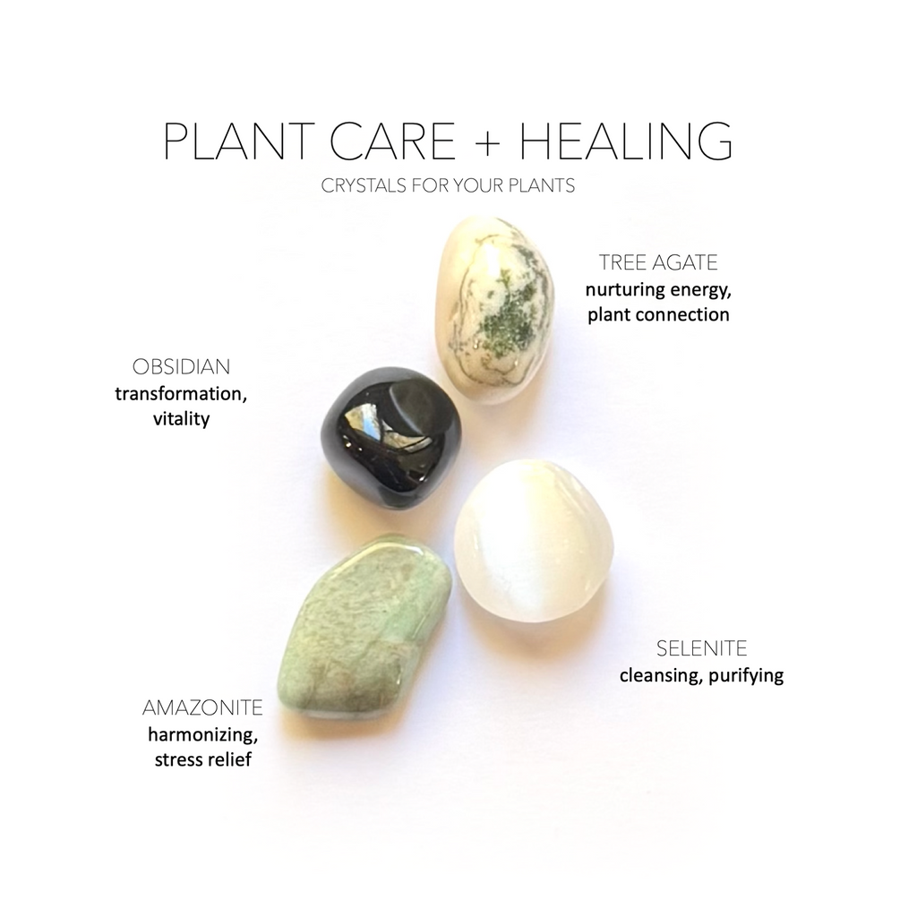 PLANT CARE + HEALING SET - Crystals for Plants Rox Box