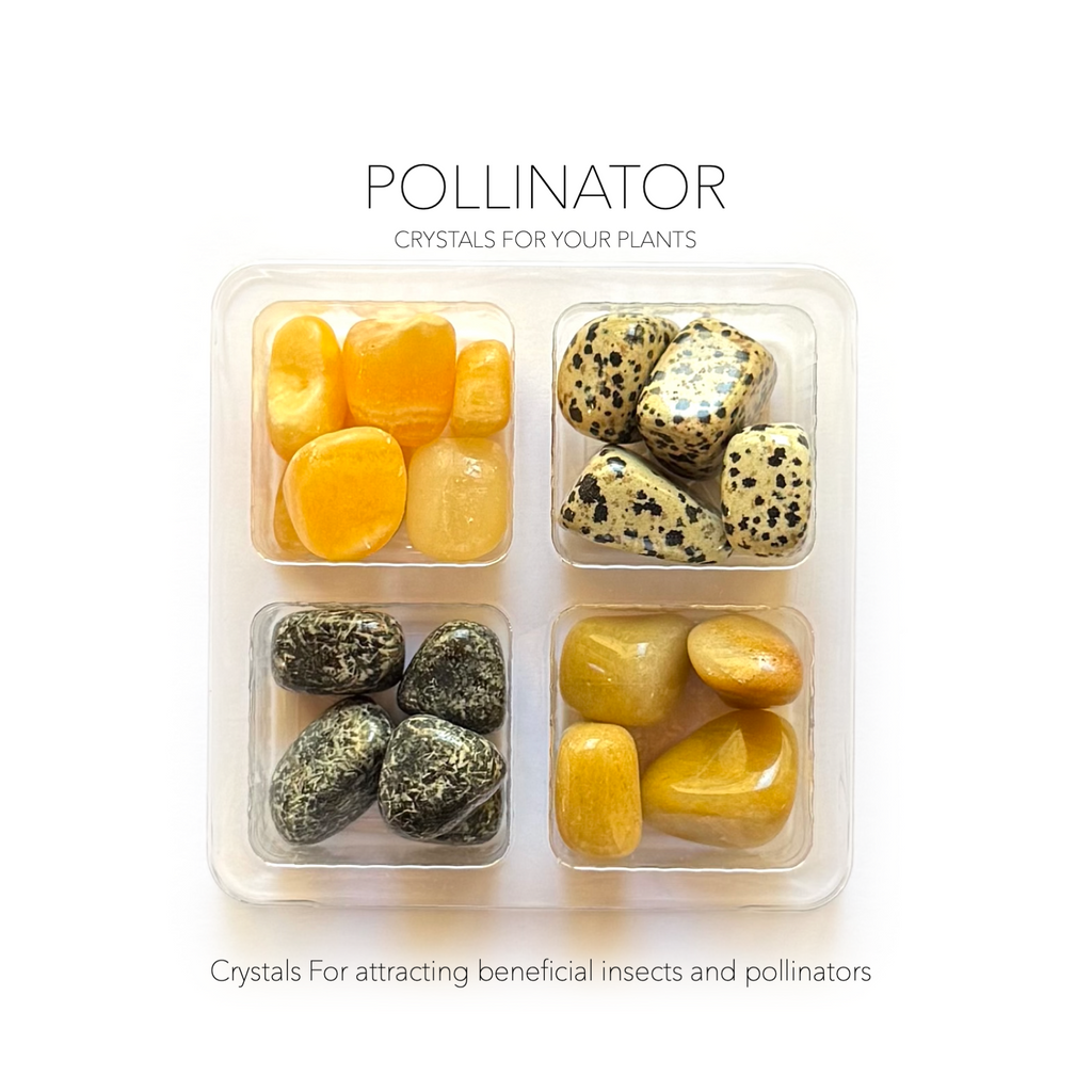 POLLINATOR + BEE-FRIENDLY GARDEN SET- Crystals for Plants Rox Box