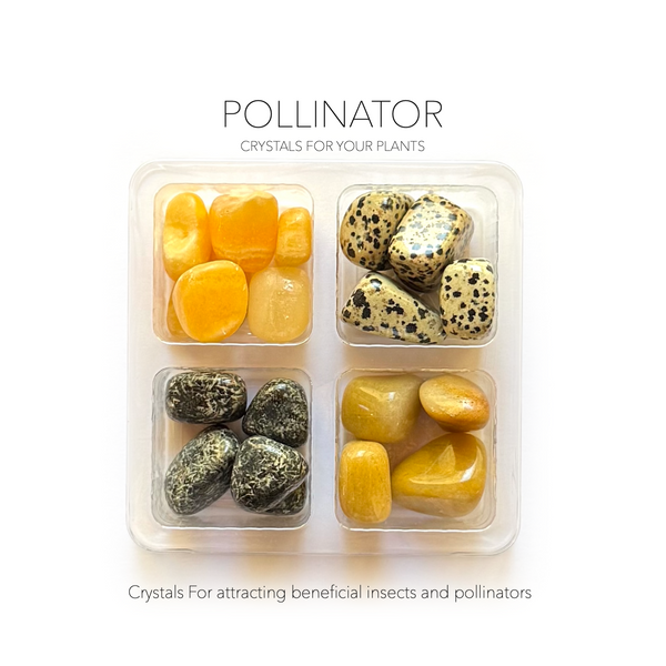 POLLINATOR + BEE-FRIENDLY GARDEN SET- Crystals for Plants Rox Box ...