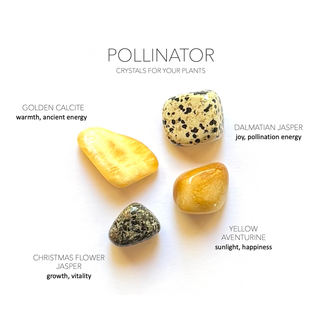 POLLINATOR + BEE-FRIENDLY GARDEN SET- Crystals for Plants Rox Box