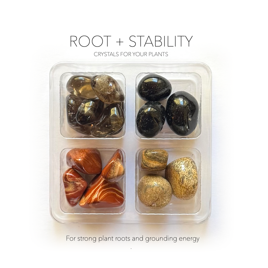 ROOT + STABILITY - Crystals for Plants Rox Box