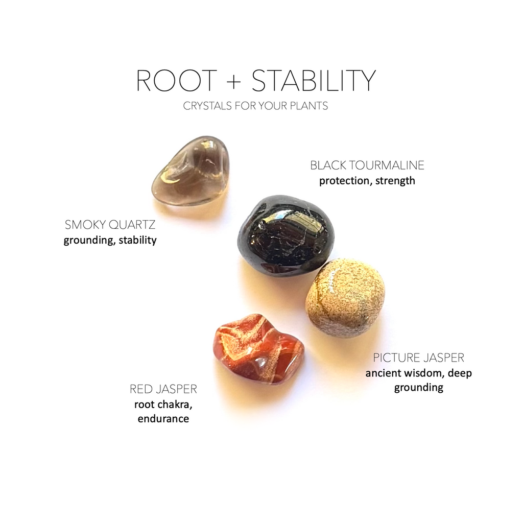 ROOT + STABILITY - Crystals for Plants Rox Box