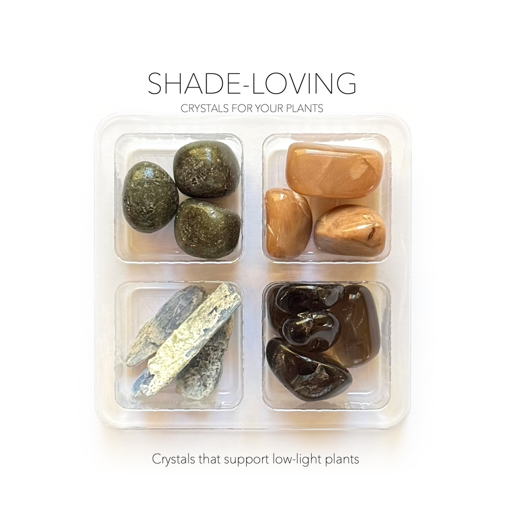 SHADE-LOVING PLANT CRYSTAL SET- Crystals for Plants Rox Box