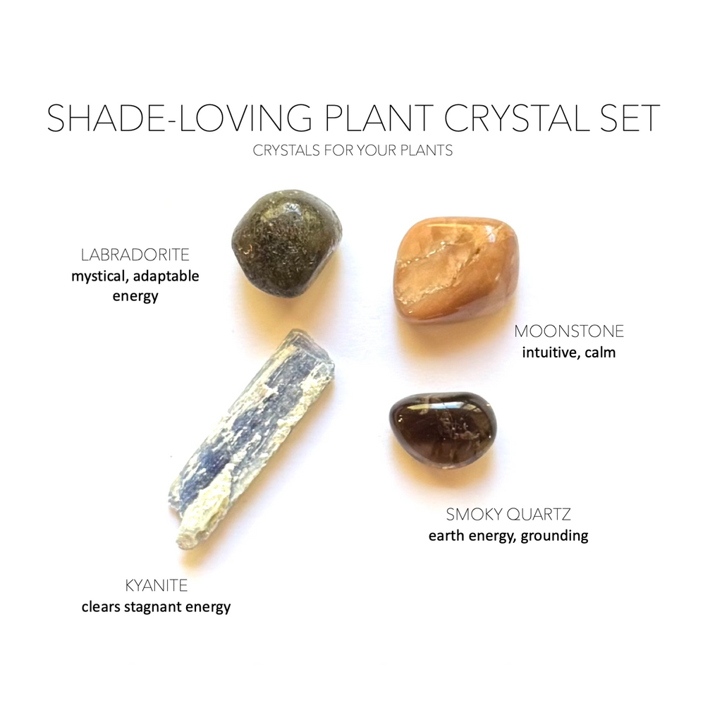 SHADE-LOVING PLANT CRYSTAL SET- Crystals for Plants Rox Box