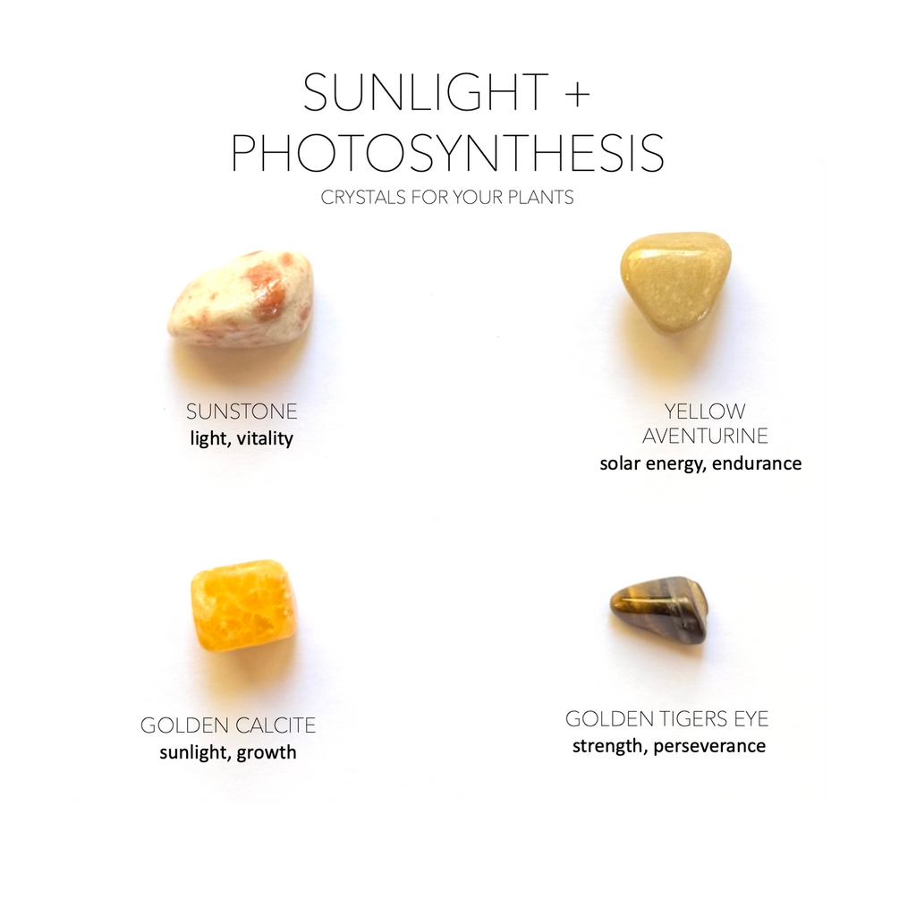 SUNLIGHT + PHOTOSYNTHESIS - Crystals for Plants Rox Box