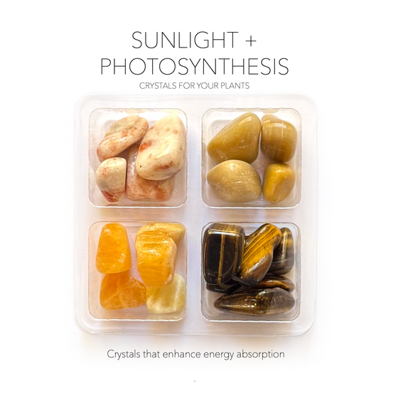 SUNLIGHT + PHOTOSYNTHESIS - Crystals for Plants Rox Box