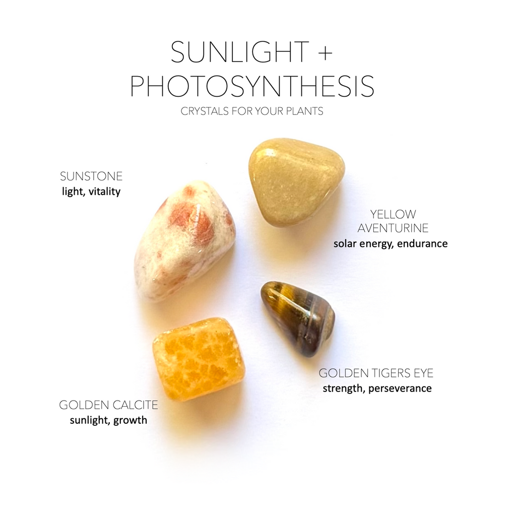 SUNLIGHT + PHOTOSYNTHESIS - Crystals for Plants Rox Box