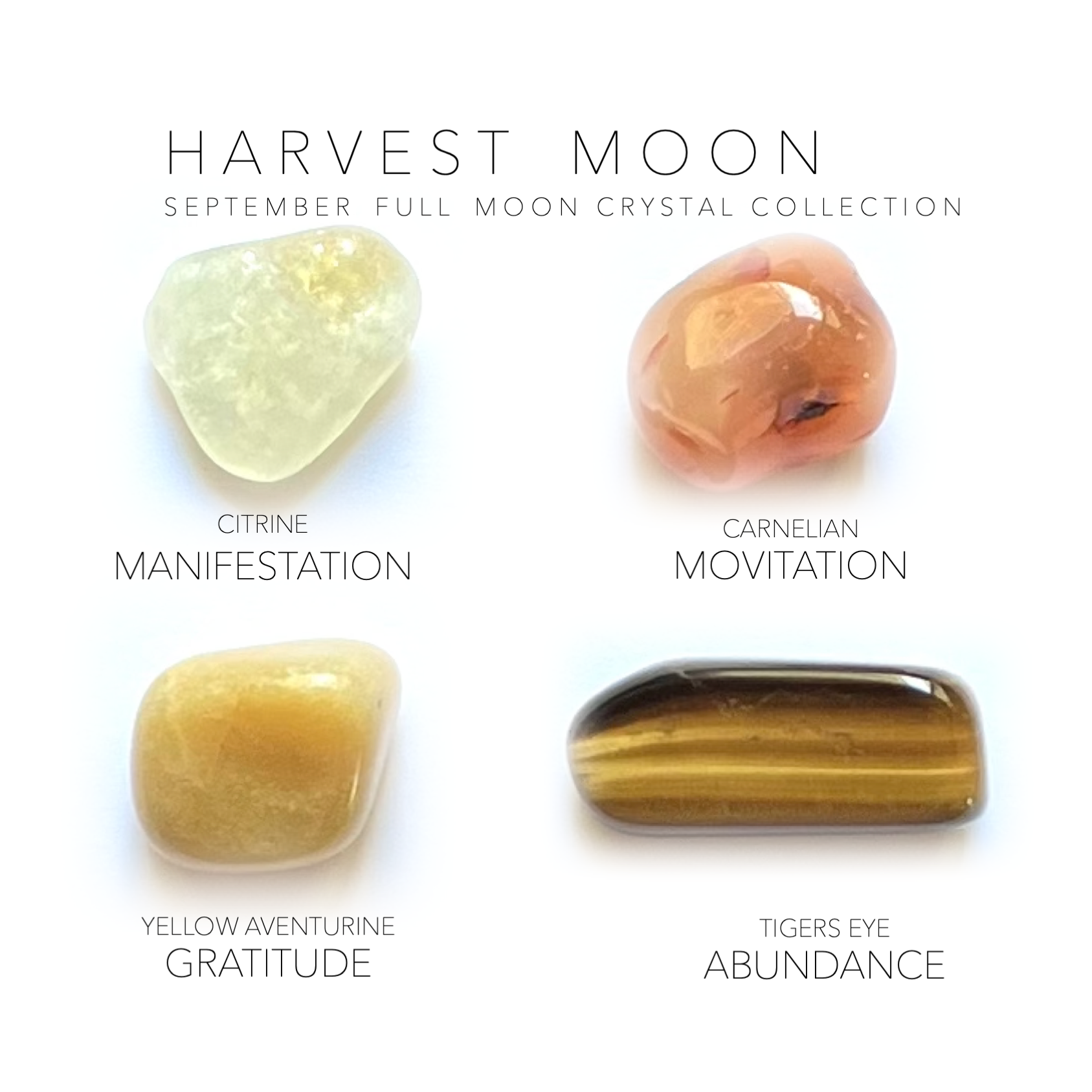 SEPTEMBER FULL MOON - HARVEST MOON Rox Box - crystal set - Crystal SEPTEMBER FULL MOON - HARVEST MOON Rox Box - crystal set - Crystal