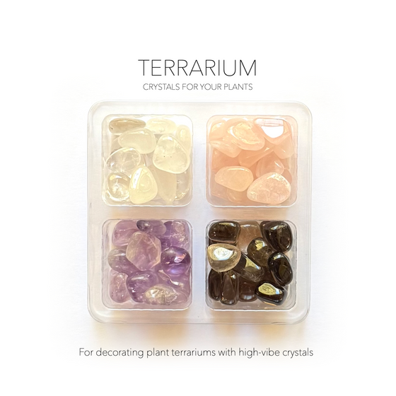 CRYSTAL TERRARIUM COMPANION SET- Crystals for Plants Rox Box