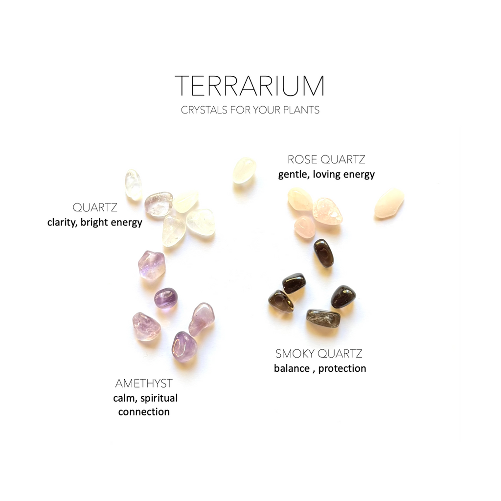 CRYSTAL TERRARIUM COMPANION SET- Crystals for Plants Rox Box