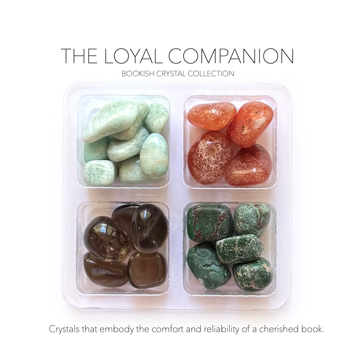 THE LOYAL COMPANION - Bookish Crystals Rox Box Collection