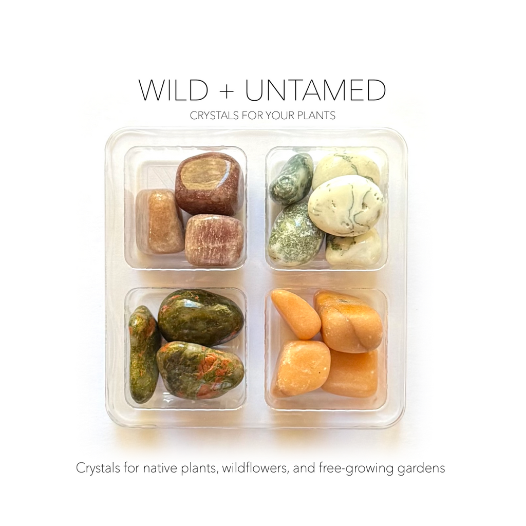 WILD + UNTAMED GARDEN SET- Crystals for Plants Rox Box